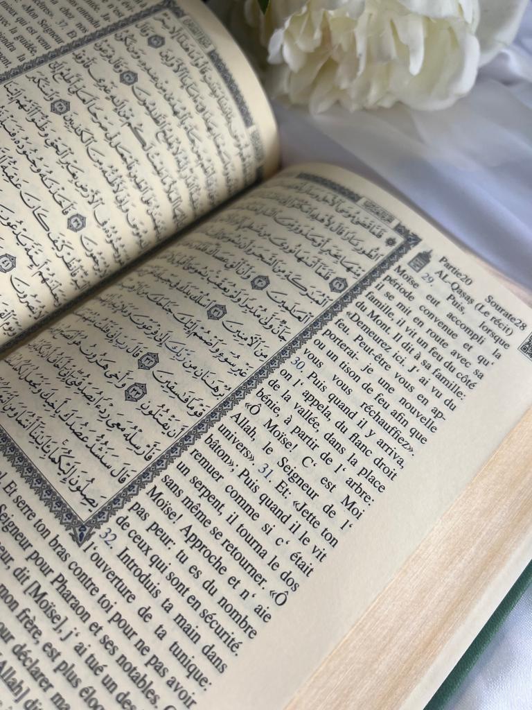 PHOTO-2023-05-10-14-10-37 5